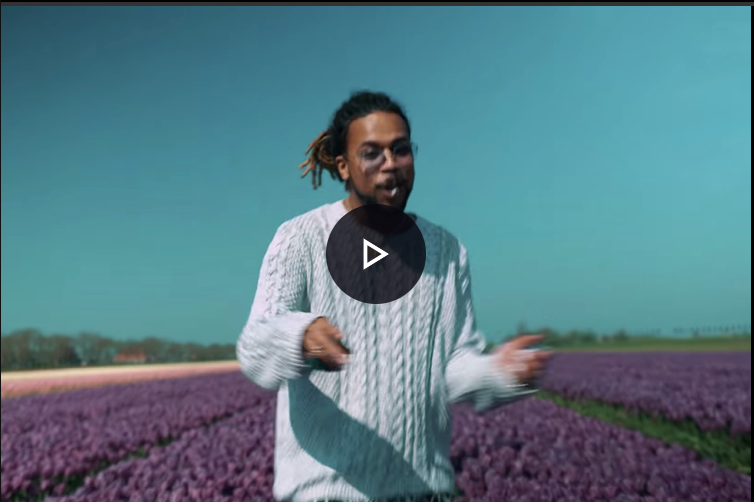 VIDEO: BOKOESAM & JACIN TRILL – WALDO