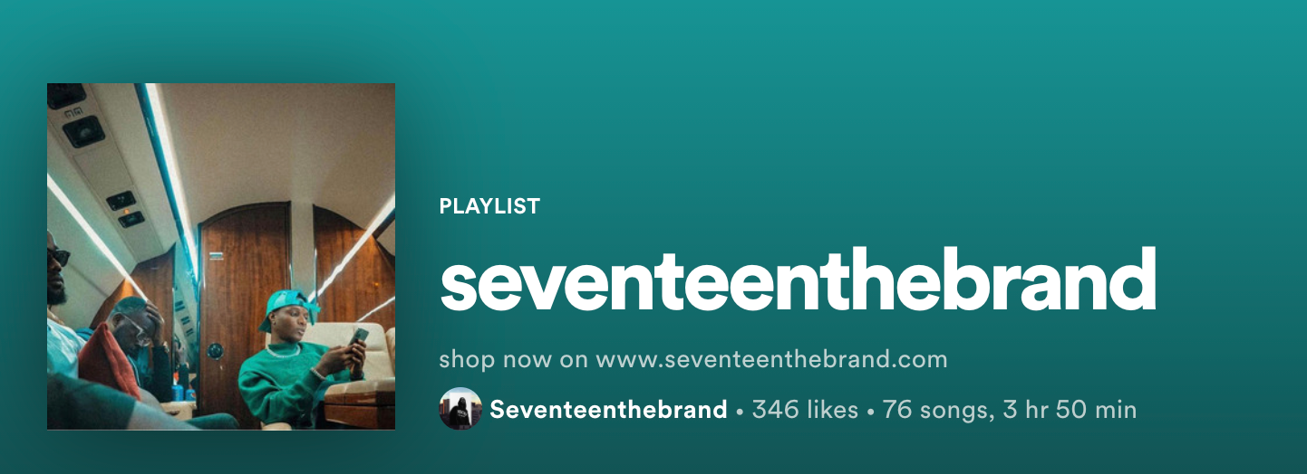 Seventeenthebrand playlist on Spotify