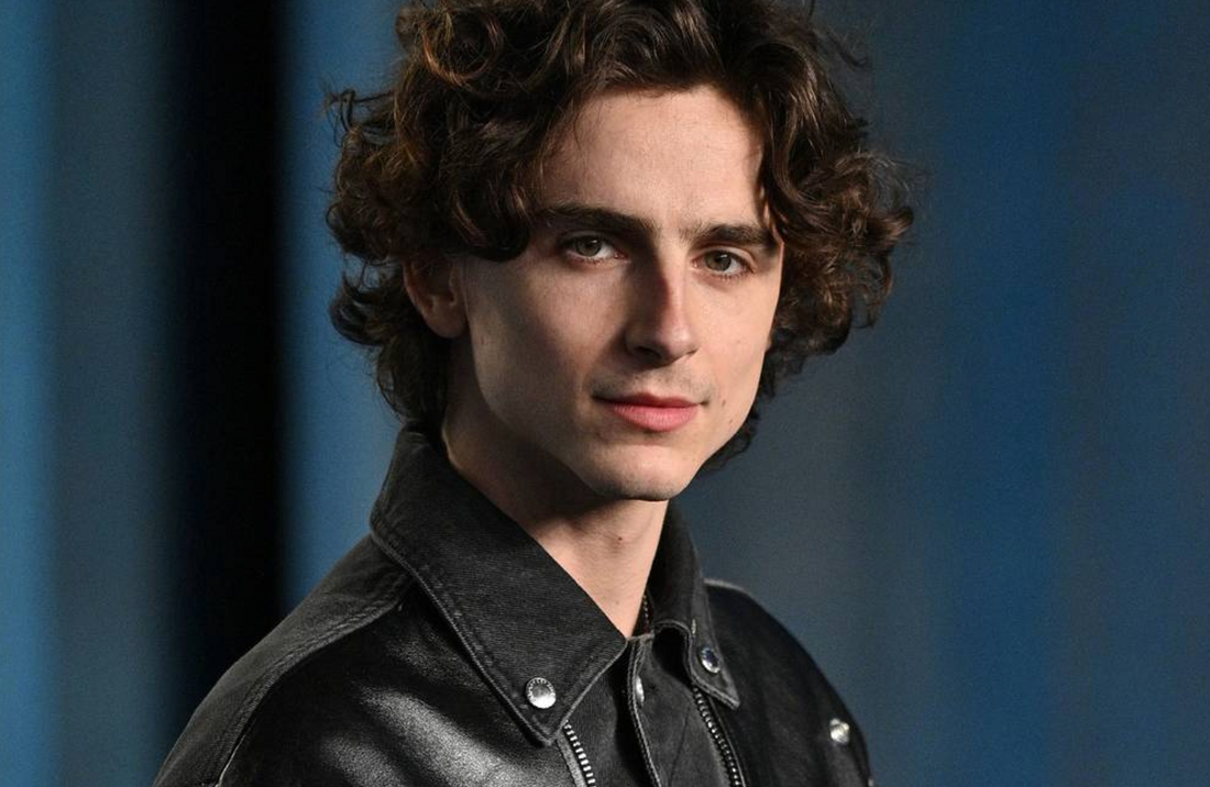 Al Pacino Wants Timothée Chalamet to Play Young Vincent Hanna in Possible 'Heat' Film Sequel