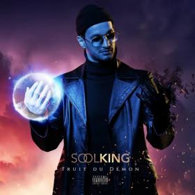 NEW ALBUM: SOOLKING-FRUIT DU DEMON